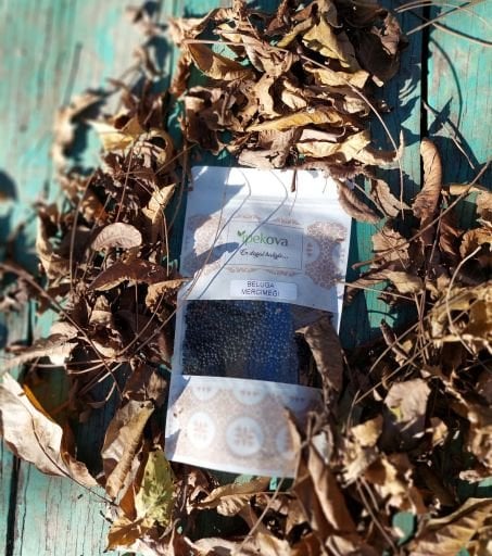 Beluga Mercimeği (Siyah Mercimek)